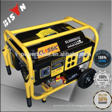 BISON (CHINA) Zuverlässige Qualität BS2500 AC Einphasiger 220V 50Hz Generator